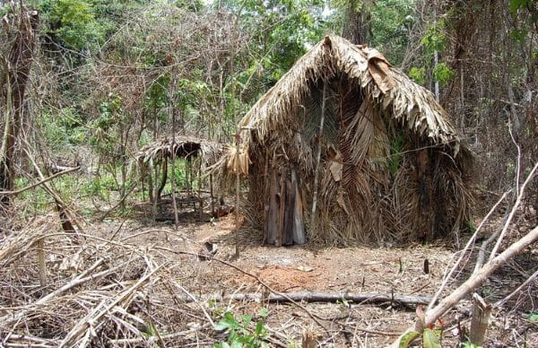 Cette image d'une cabane où il vivait est sortie en 2018