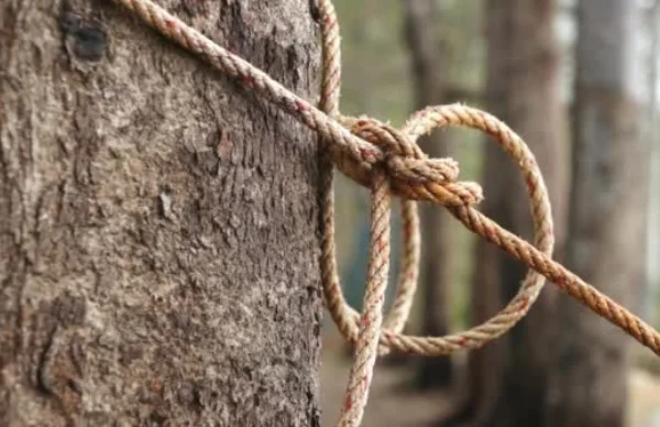 L'avantage des sangles pour hamac: corde fine attachée à un tronc d'arbre pour suspendre un hamac