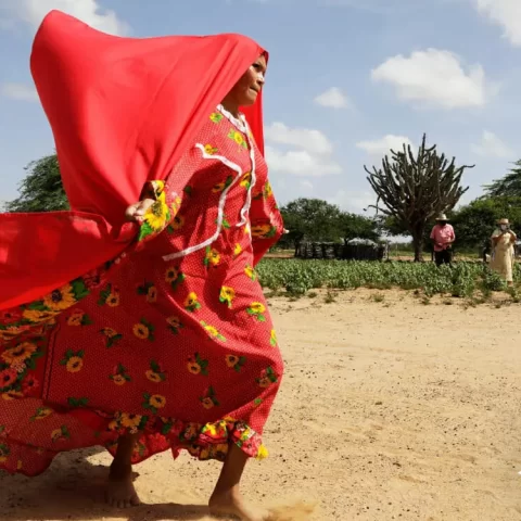 hamac wayuu 14