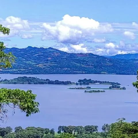 hamac chaise jinotega 6